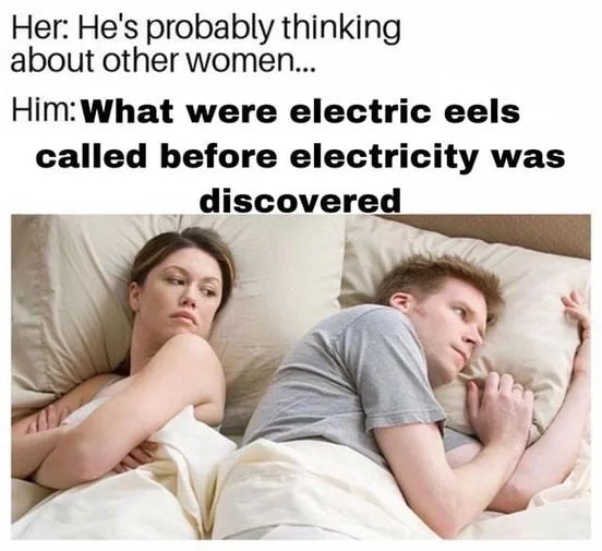 electric eel meme