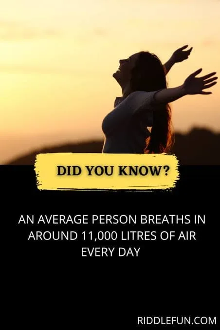 breathing meme