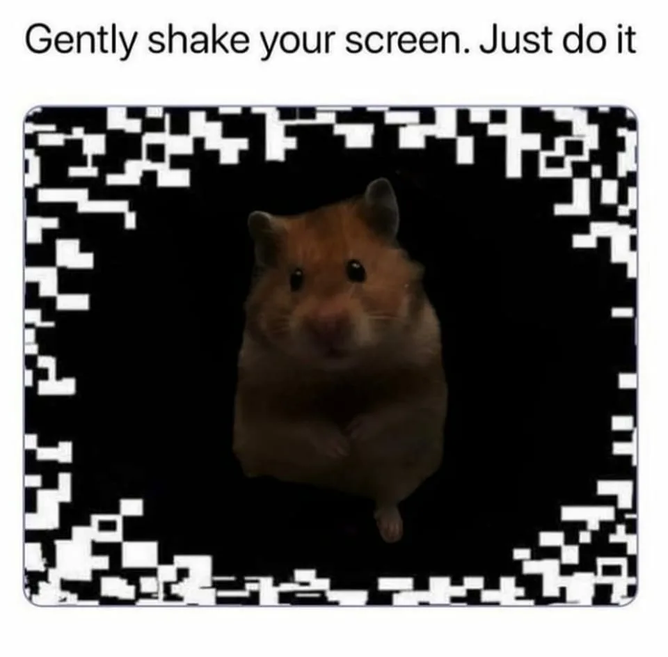 optical illusion meme