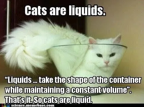 liquid meme