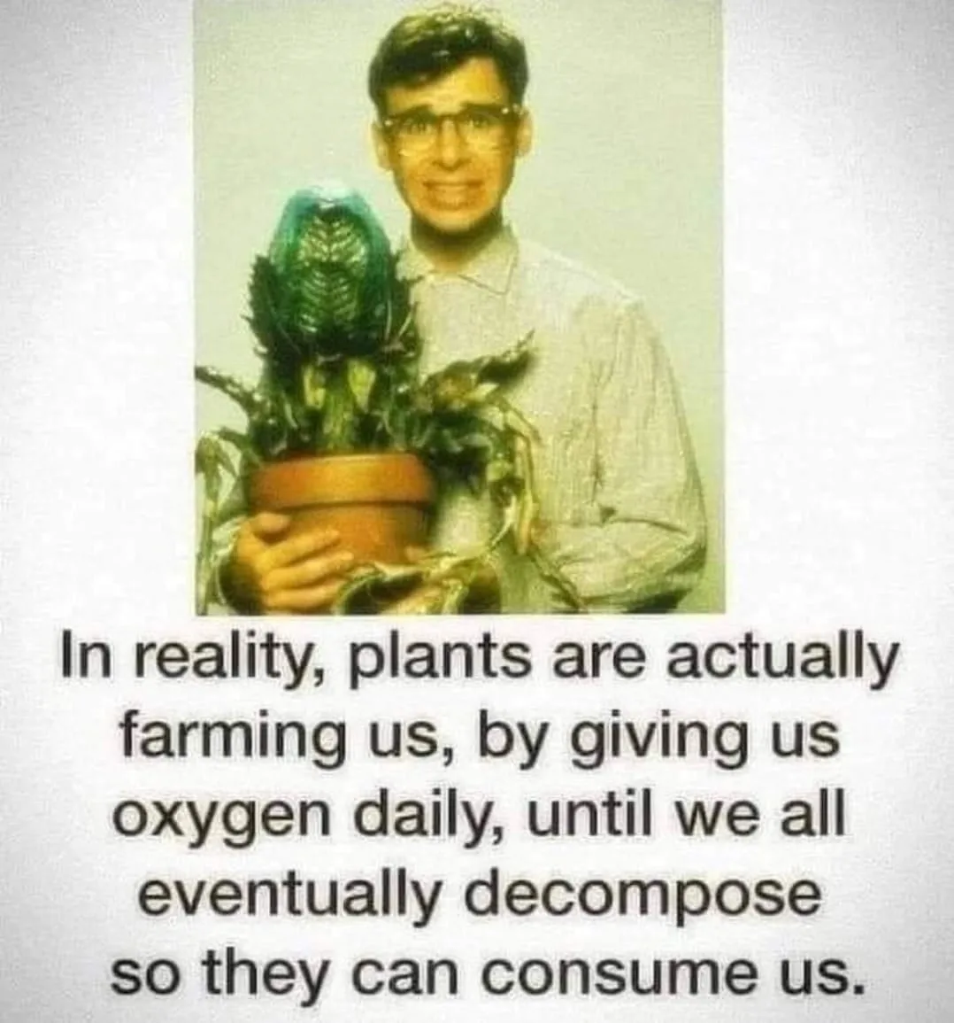 domestication meme