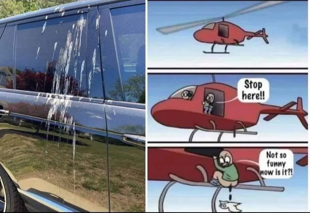 getting revenge meme
