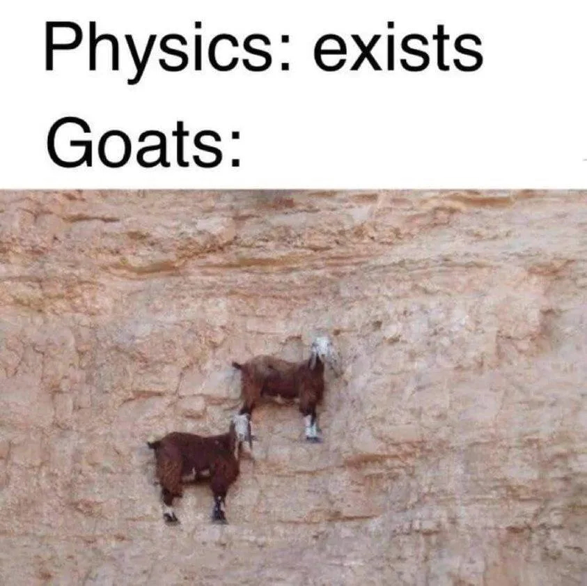 physics meme