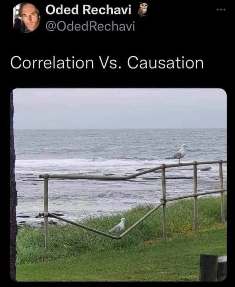 causality meme