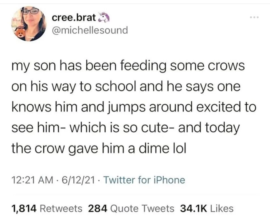 crow meme