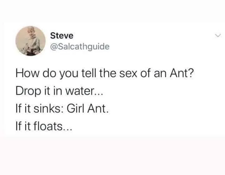 ant meme