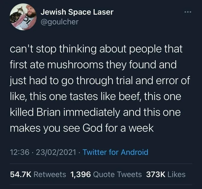 mushroom meme