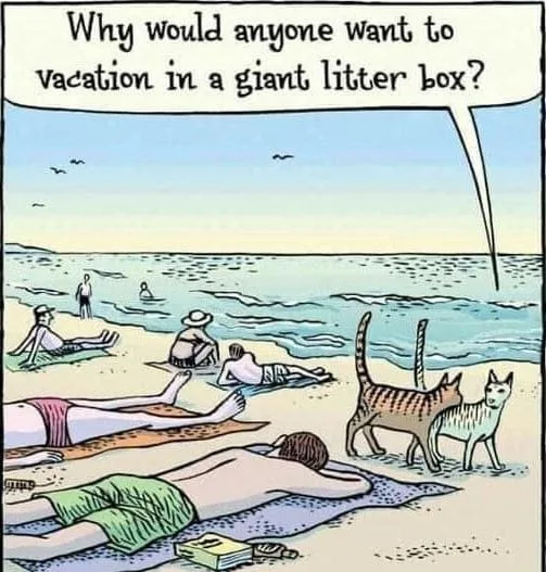 beach meme