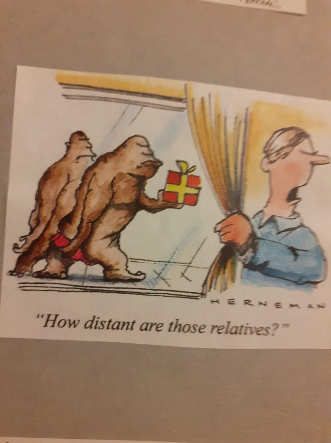 relative meme