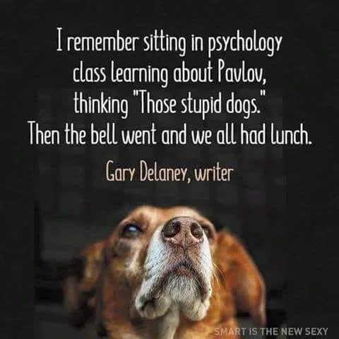 Pavlov meme