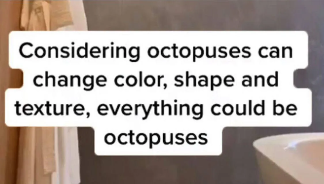 octopus meme