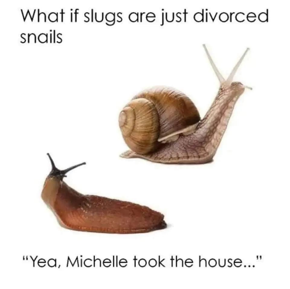 snail meme
