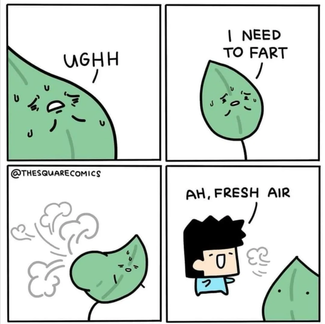 oxygen meme