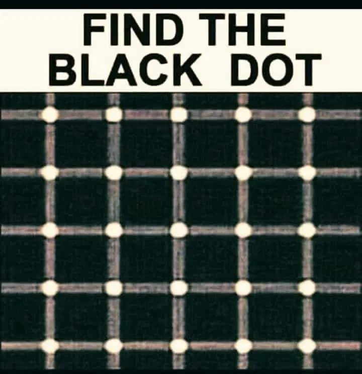 optical illusion meme