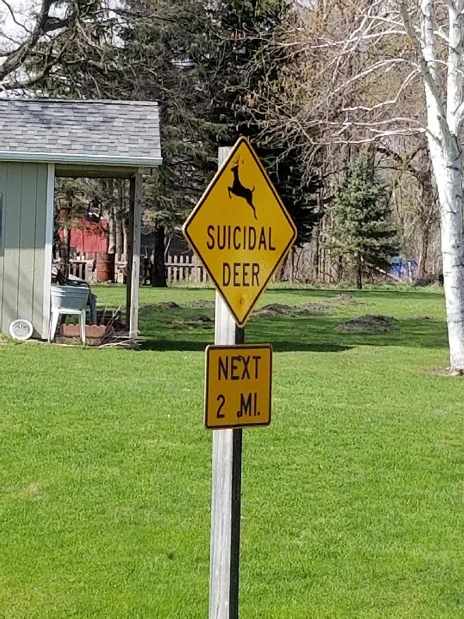 suicide meme
