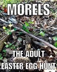 Easter egg hunt meme