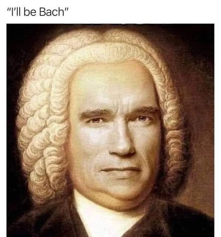 Arnold Schwarzenegger meme
