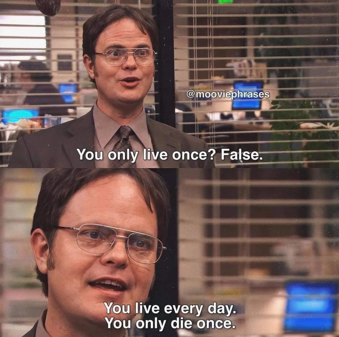 YOLO meme