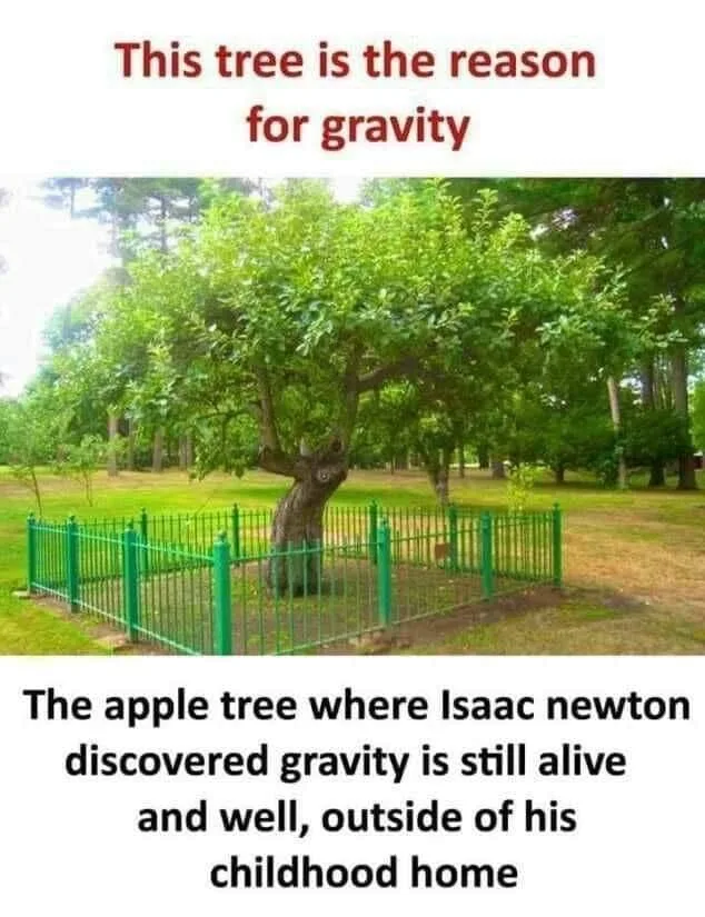 Isaac Newton meme