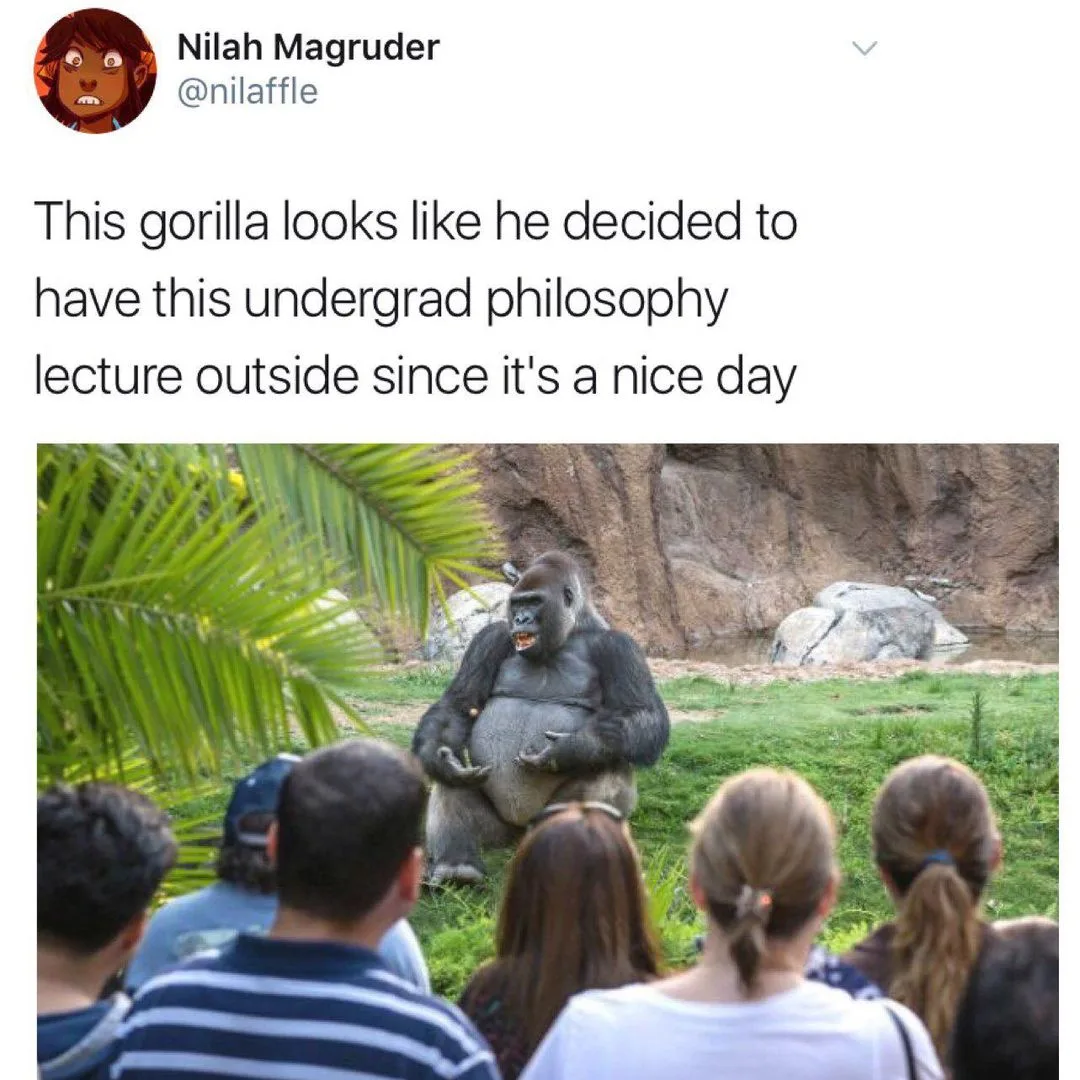 teaching meme