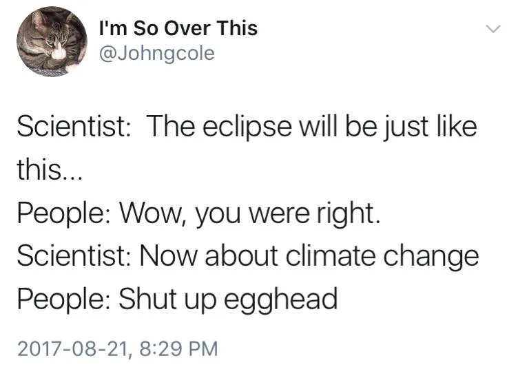 expertise meme