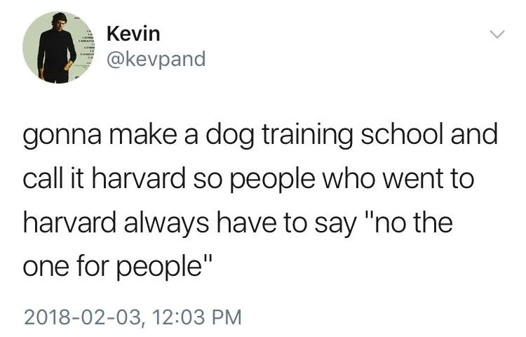 Harvard meme