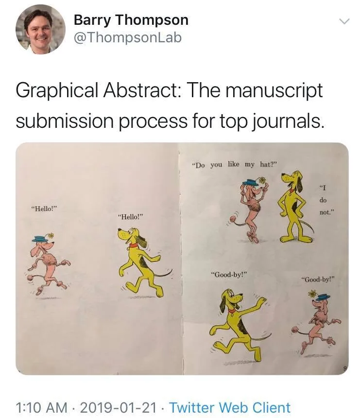 peer review meme