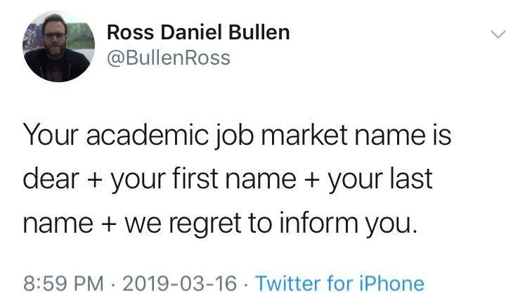 academic job market meme