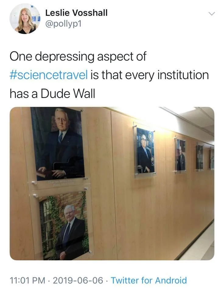 privilege meme