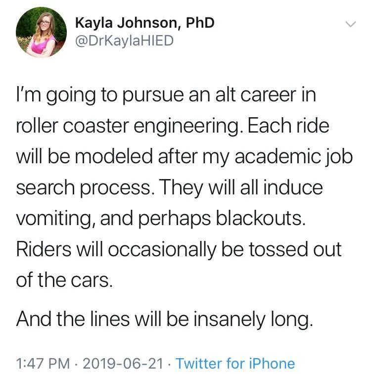academic job market meme