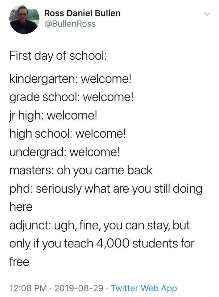 adjunct professor meme