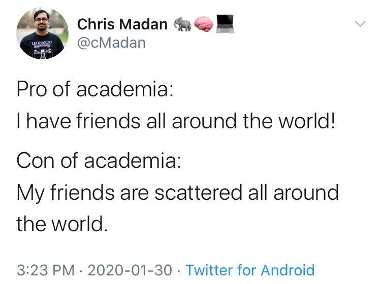 academic job market meme