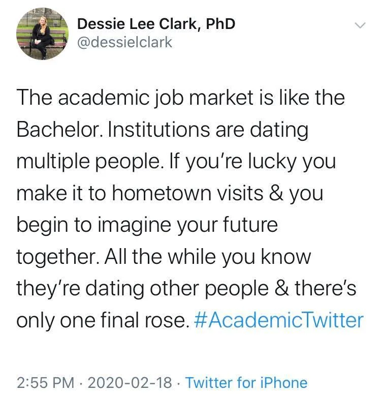 academic job market meme