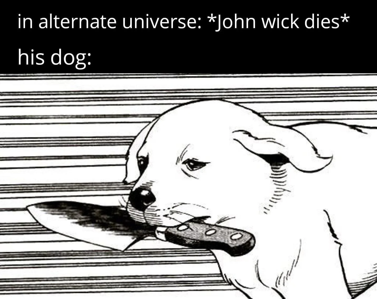 John Wick meme