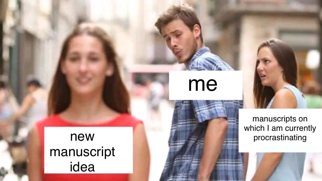 academic writing meme