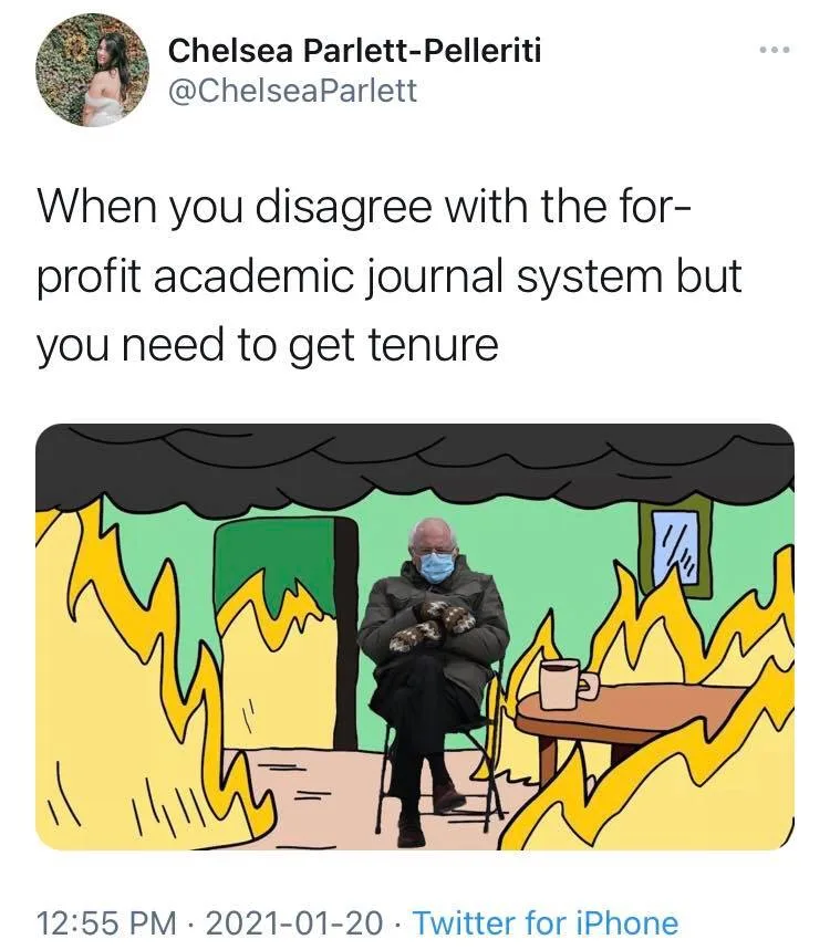 tenure meme