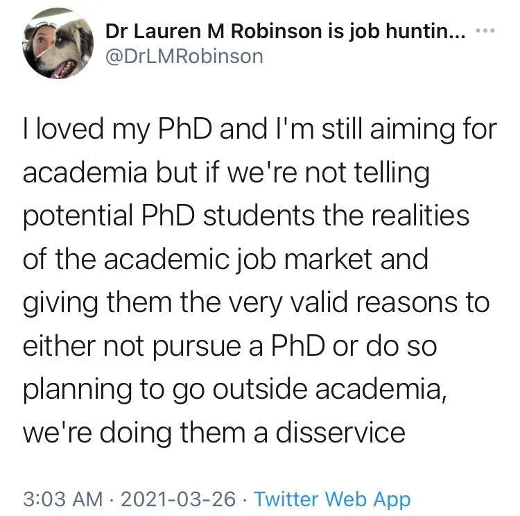 academic job market meme