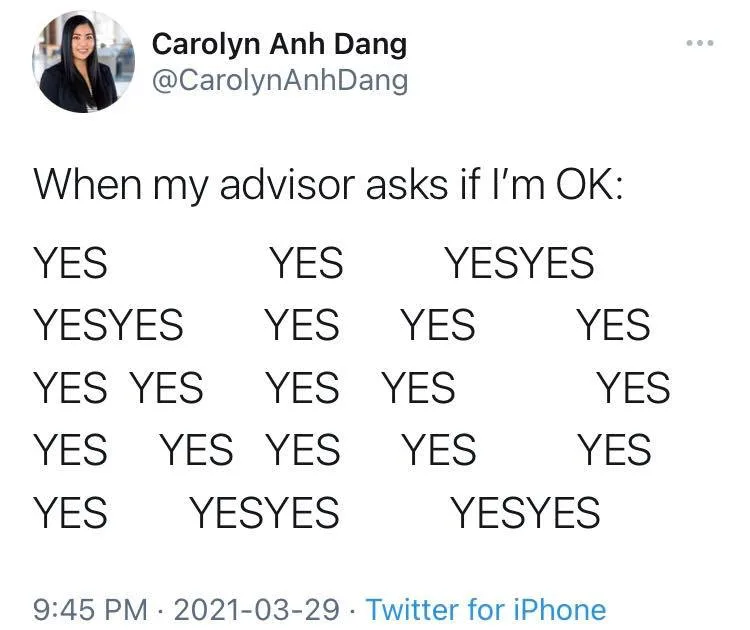 dissertation writing meme
