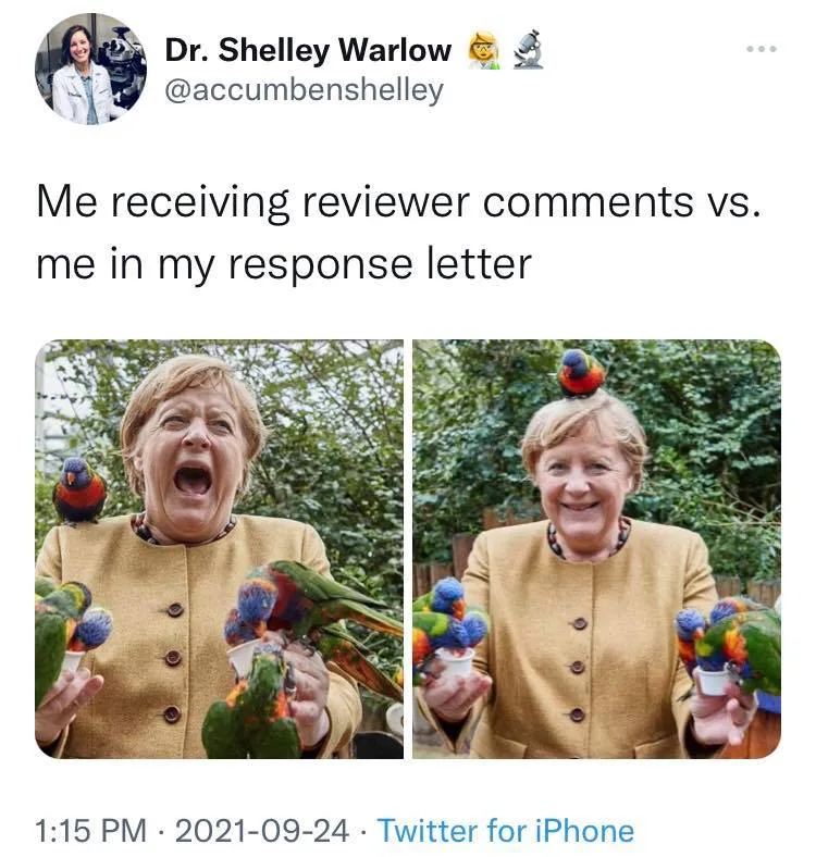 peer review meme