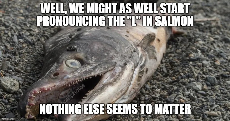 salmon meme