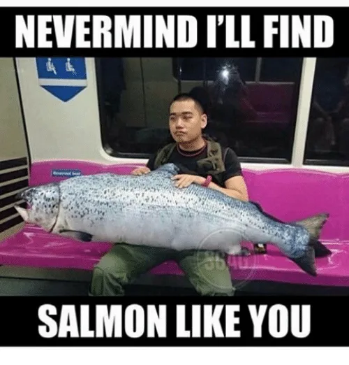 salmon meme