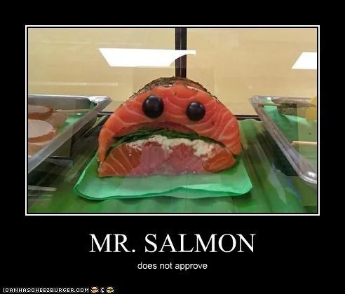 salmon meme