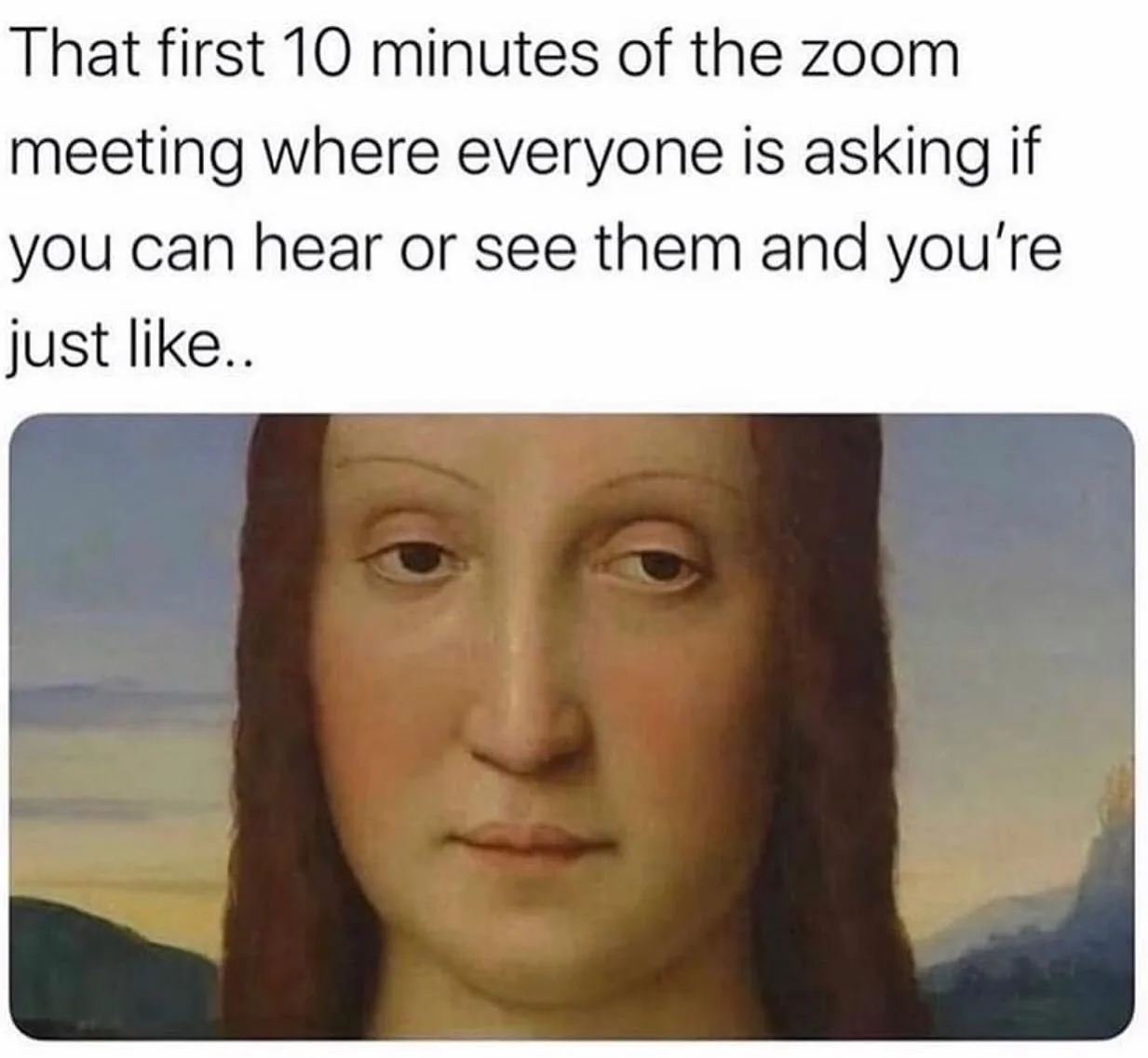 Zoom meme