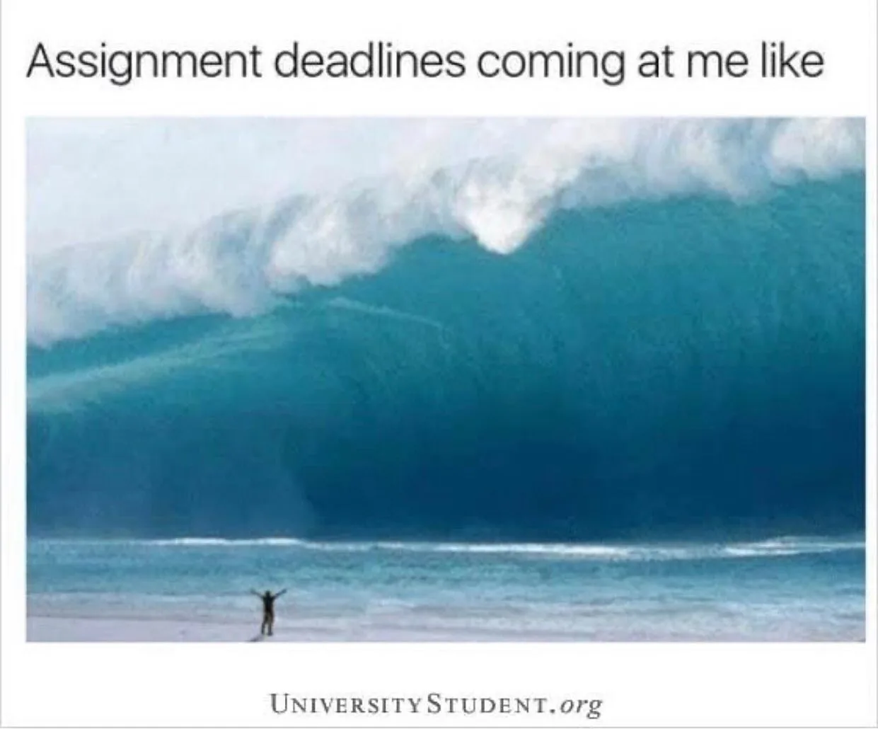 deadline meme