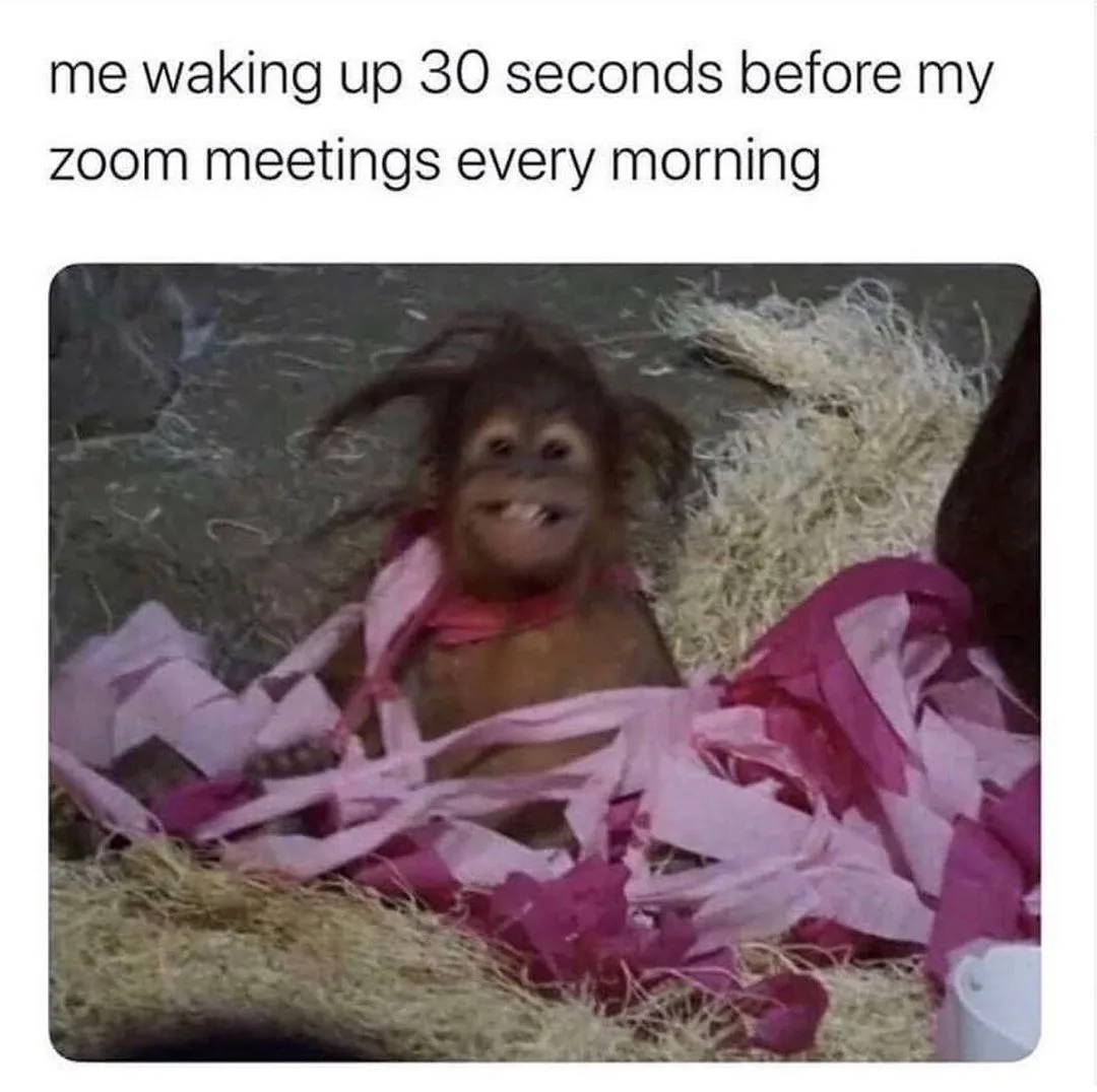 Zoom meme