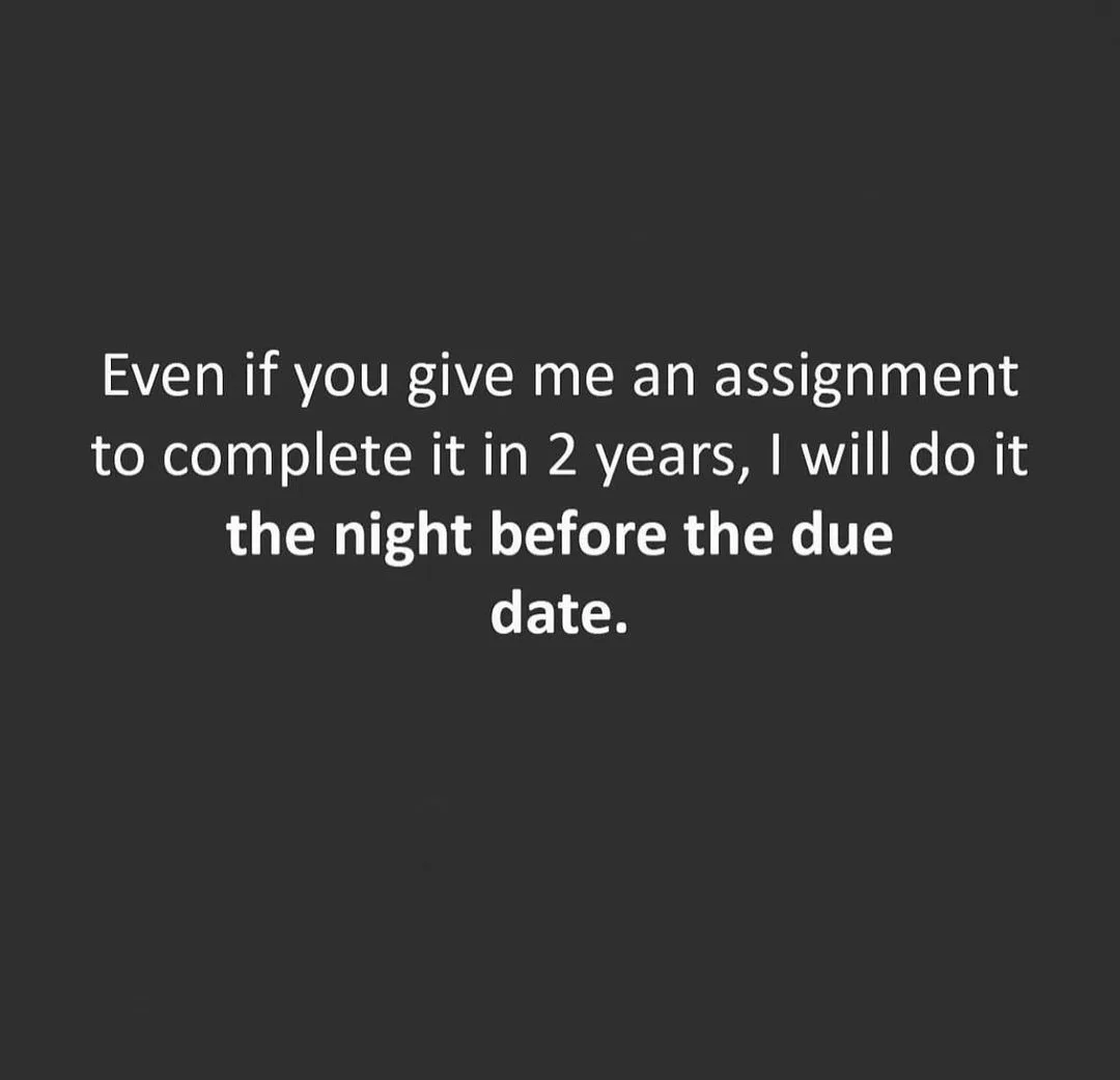 assignment meme