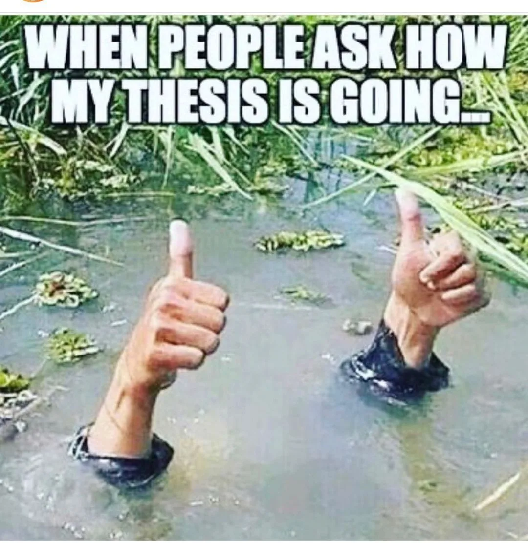 dissertation writing meme