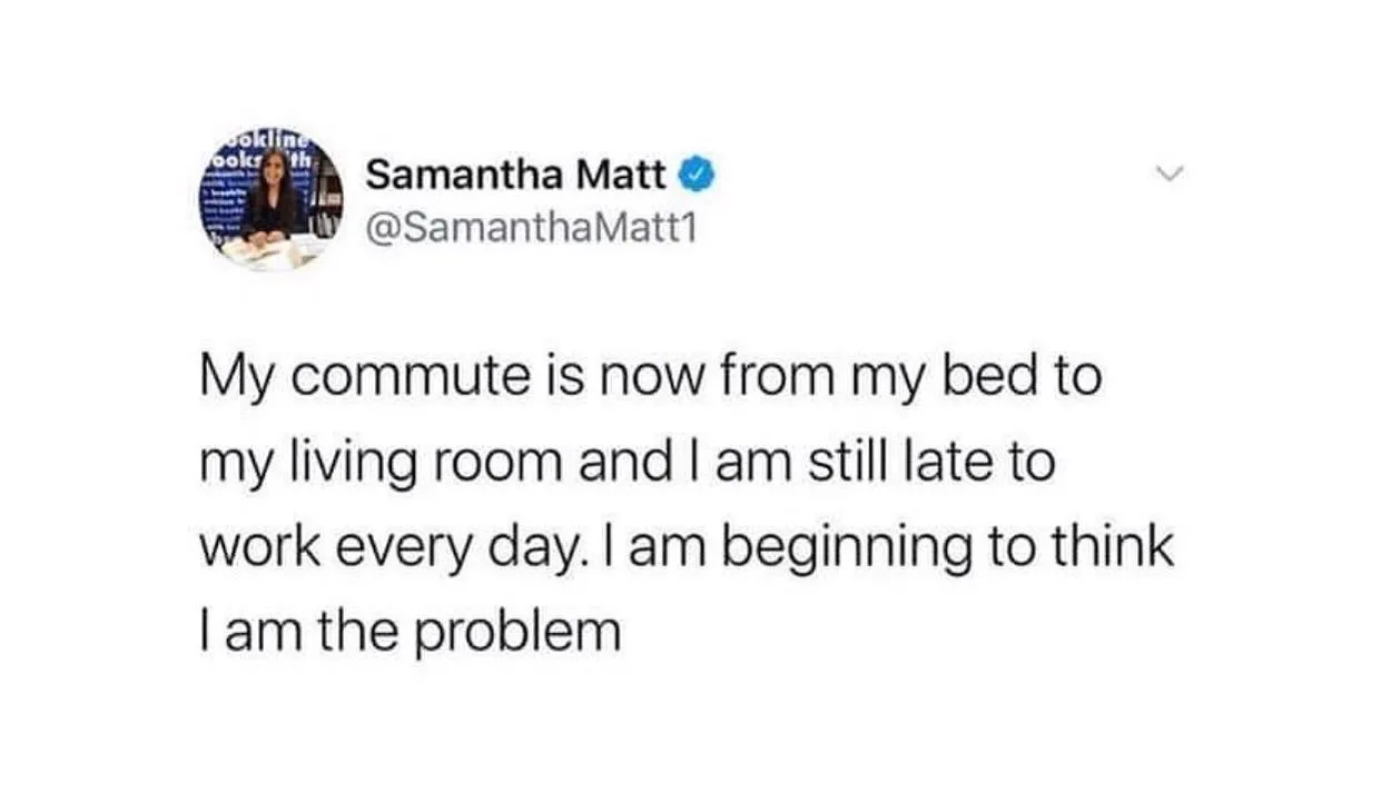 working remotely meme