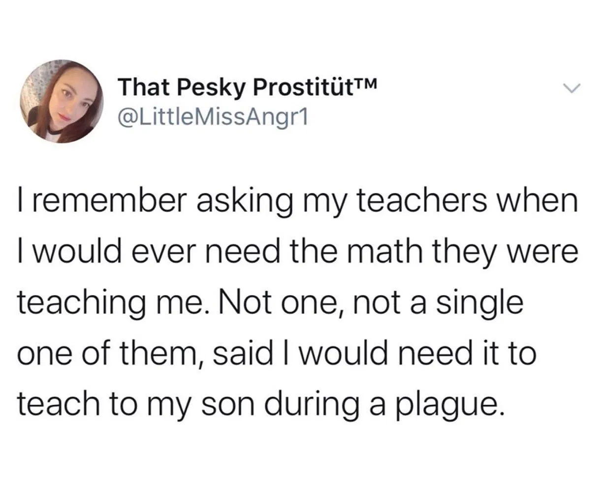Homeschooling meme