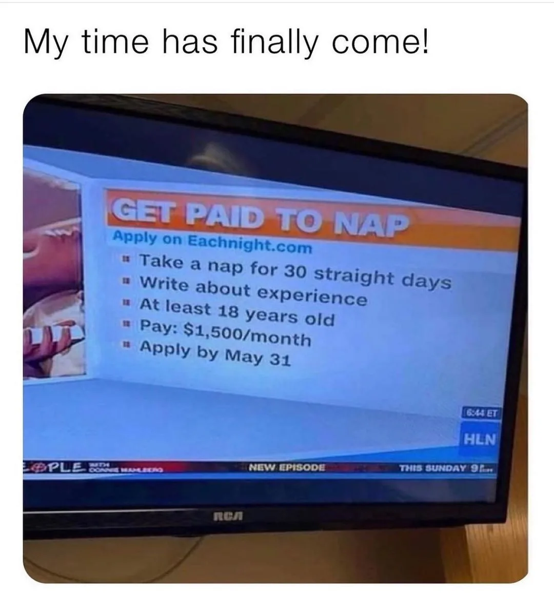 napping meme